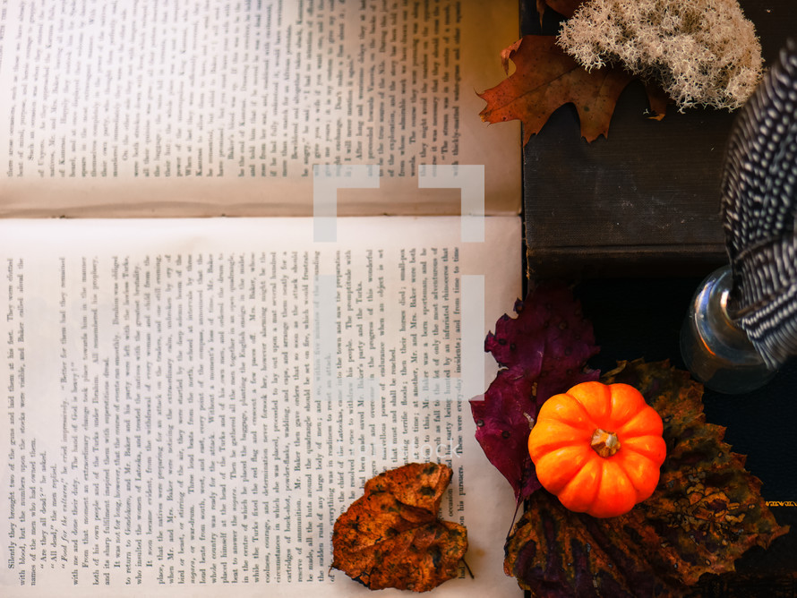 mini pumpkin, desk, feather, bottle, glass, book, fall, leaf, autumn, trinkets, lichen, pages, book 
