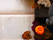 mini pumpkin, desk, feather, bottle, glass, book, fall, leaf, autumn, trinkets, lichen, pages, book 