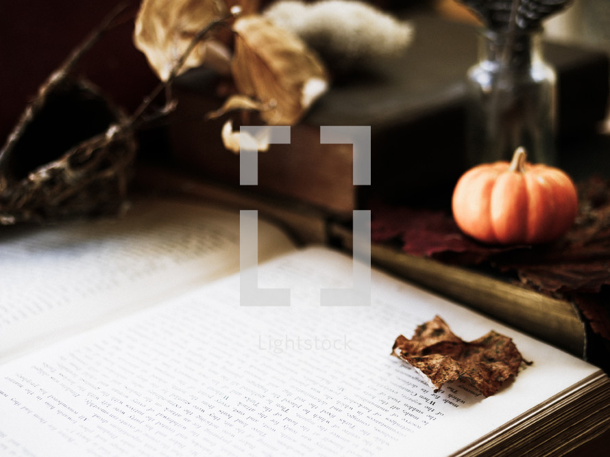 fall leaf and mini pumpkin and an open Book 