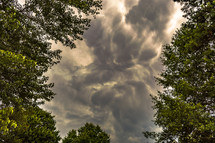 storm clouds above tree tops 