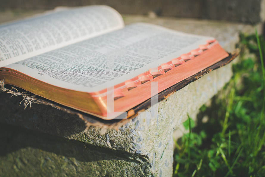 open Bible on a concrete step in the sun