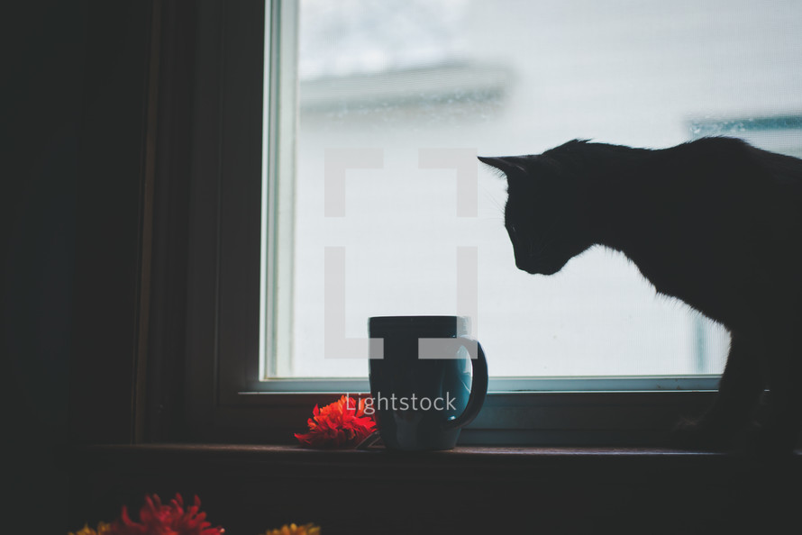 a cat and coffee mug in a window sill 