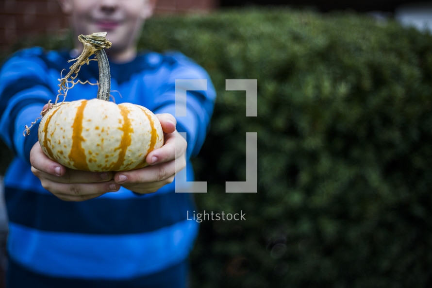 a boy child holding a pumpkin 