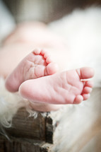 Infant's feet in a cradle.