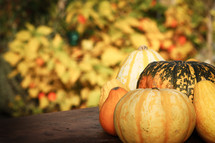 fall gourds 