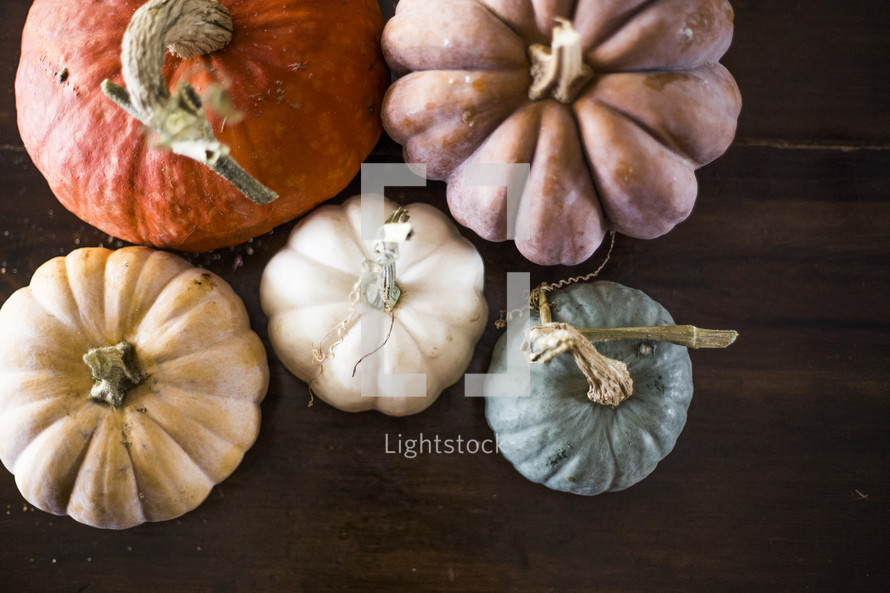 colorful arrangement of pumpkins 
