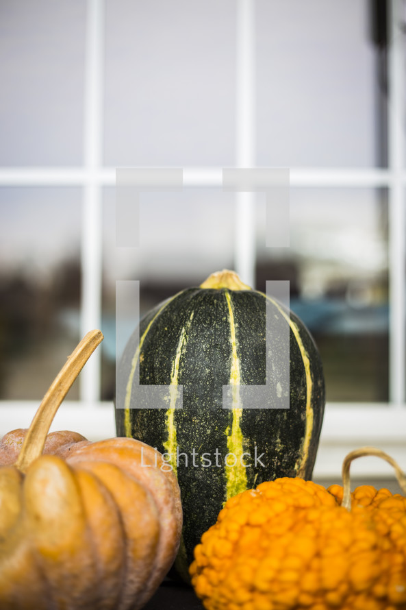 gourds and pumpkins by a window 