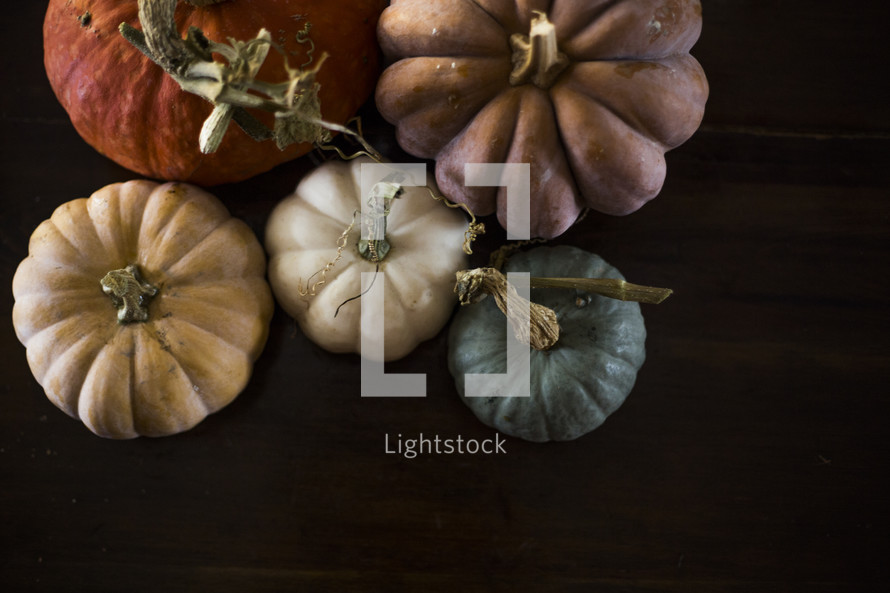 colorful arrangement of pumpkins 