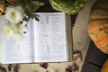 fall scene and open Bible 
