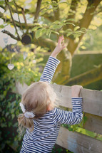 a girl child reaching while leaning on a fence 