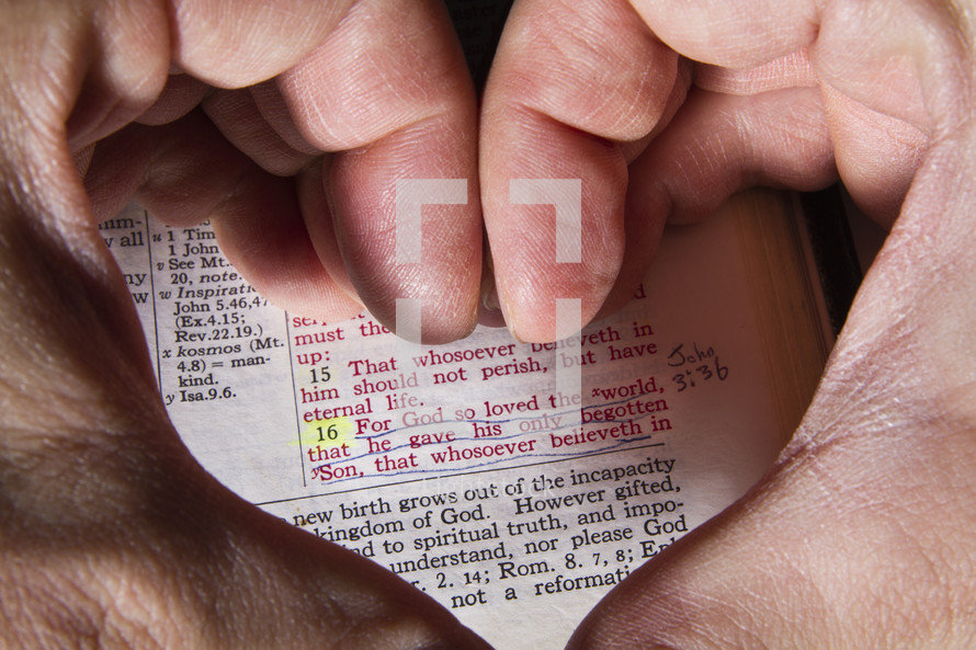 Heart hands surrounding underlined Bible text, John 3:16, "for God soloved the world."
