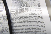 Bible text with black ribbon page marker, John 10:11-19
