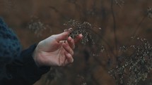 woman touching a plant 
