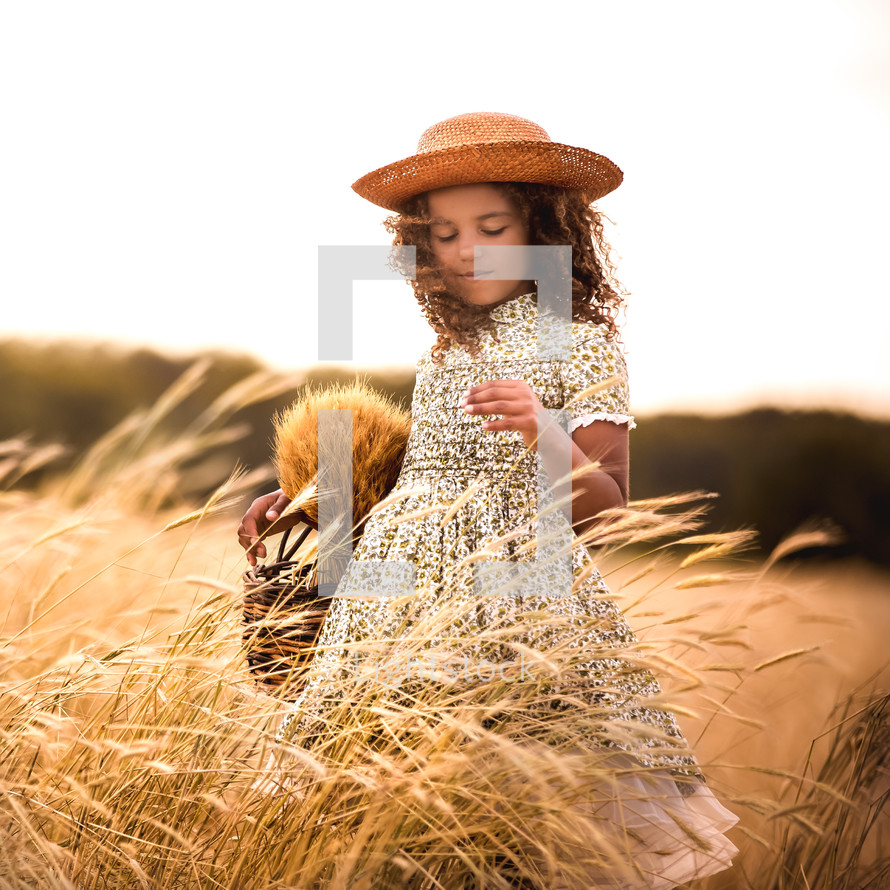 girl picking wheat 