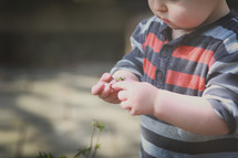 tiny hands of a toddler picking flowers 