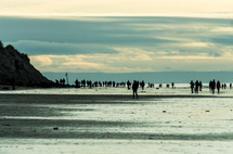crowds walking on a beach 