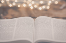 open pages of a Bible and bokeh lights 