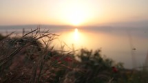 Compilation of footage from the Sea of Galilee at sunrise. 