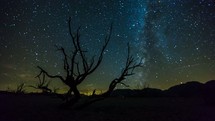 Timelapse of the Milky Way galaxy of stars moving through the night sky behind a field of burnt sage brush. This time-lapse was filmed near Mono Lake, California