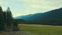 Montana mountains and green grass 