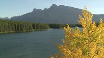 Autumn tree and mountain lake.