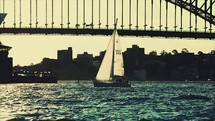 sailboat going under the bridge in Sydney Harbor