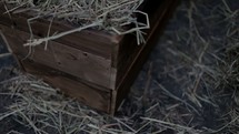 The manger filled with hay in the stable