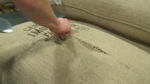 Scooping green coffee beans from a burlap bag.