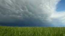 Storm cloud moving in over a grassy field.