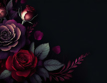 Red and Purple Roses on a dark background 