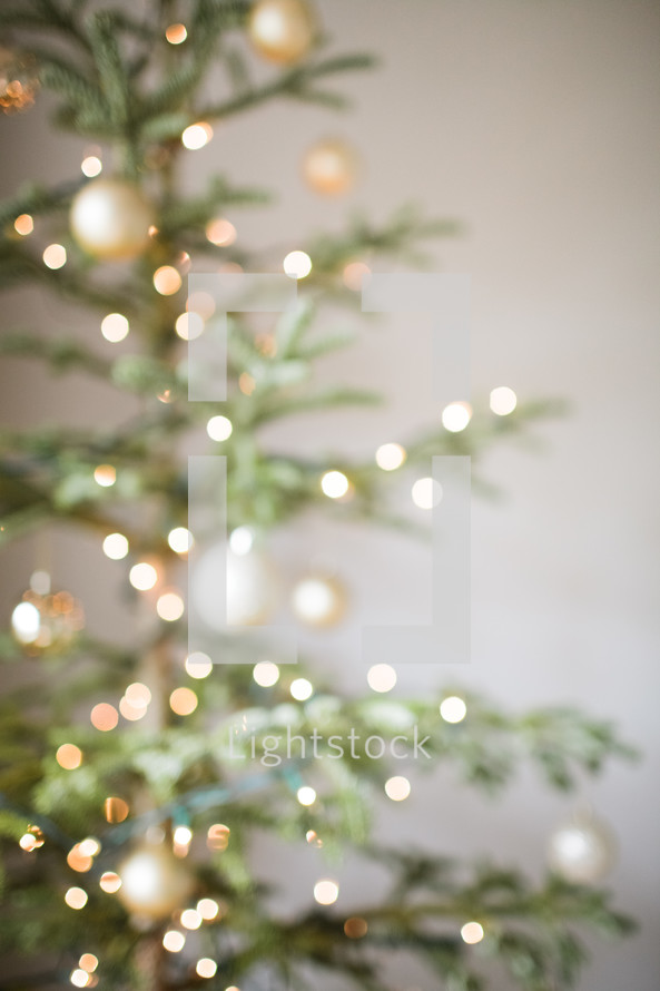 out of focus Christmas tree 