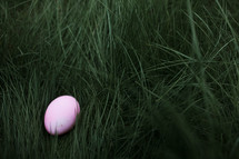 Easter egg hidden in grass 