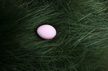 Easter egg hidden in grass