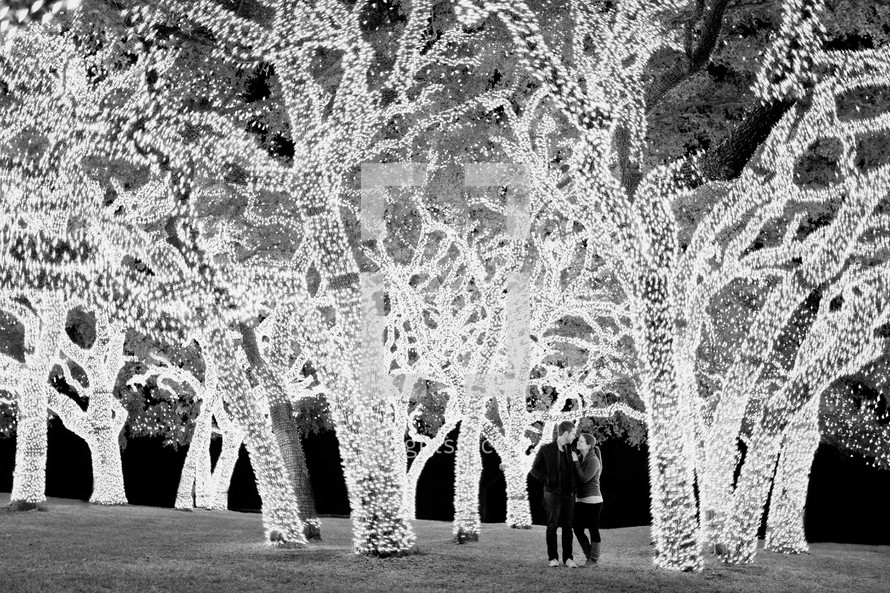 man and woman standing under lighted trees