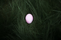 an egg hidden in grass