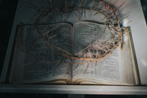 crown of thorns over an open Bible 