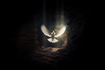 Holy Spirit - Dove