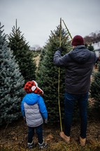 father and son in a Christmas tree farm 