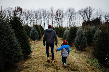 father and son in a Christmas tree farm 