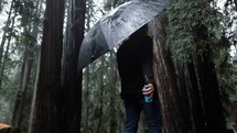 a person walking in a forest in the rain 