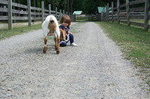 a toddler girl petting a  goat on a farm 