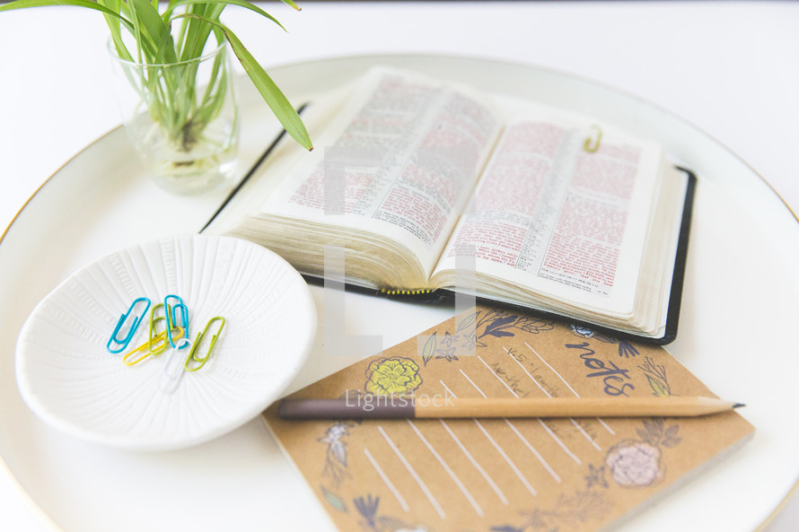 open Bible on a tray 