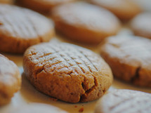 a row of peanut butter cookies 