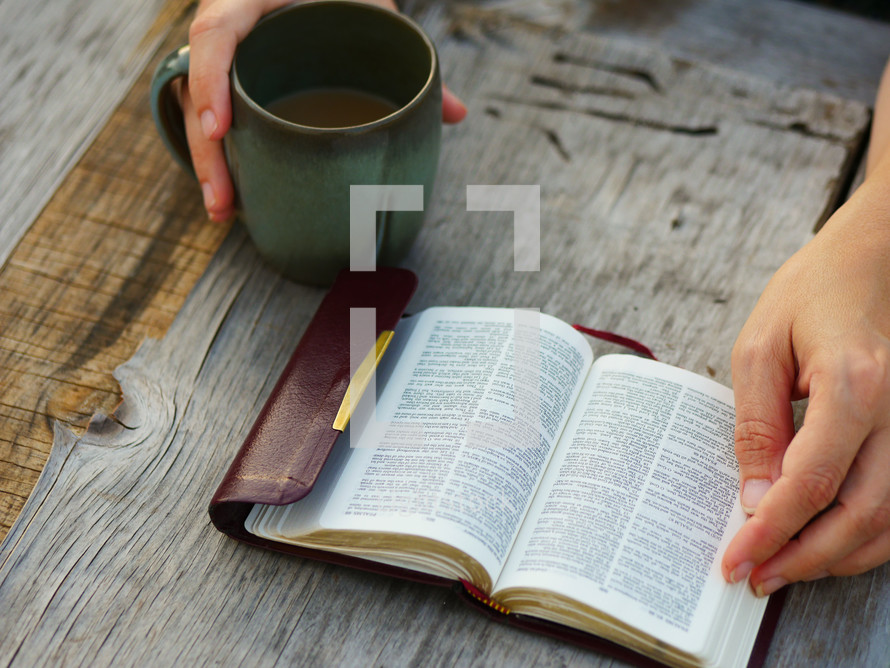 reading a pocket Bible and drinking coffee 