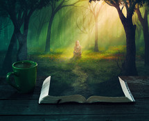 fantasy, book, reading, outdoors, woman, forest, sunlight, mug, path, magical, fairy tale 