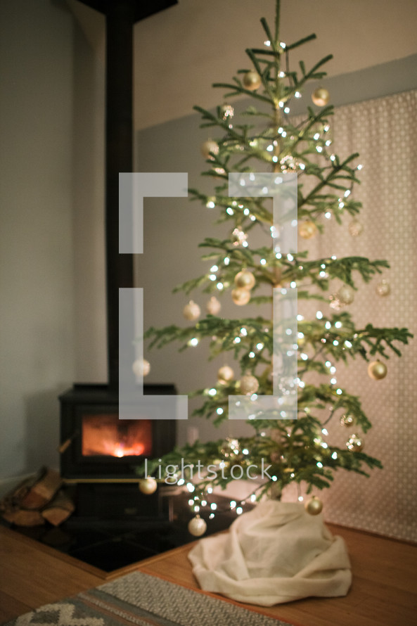 fireplace and Christmas tree 