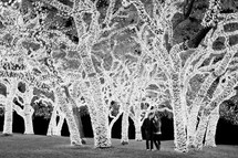 man and woman standing under lighted trees
