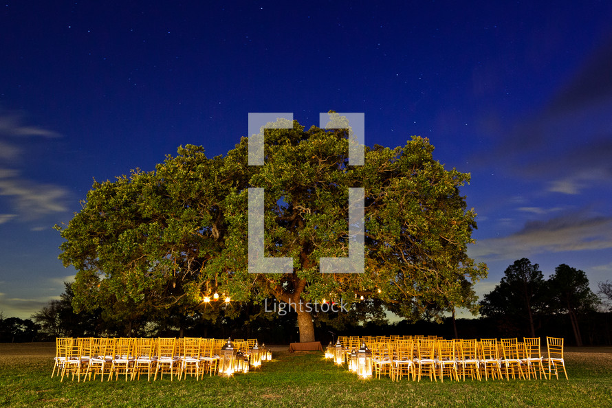 Wedding party under tree