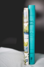 Bible and journal spines 