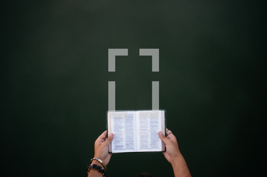 A woman's hands holding an open Bible.